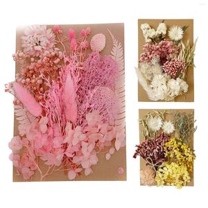 Flores decorativas 1 PCS Resina seca adesivos de flores naturais Decalques de beleza seca para DIY Epóxi encheu Jóias Decorações de Arte Supplies