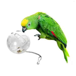 Andra fågelförsörjningar papegoja foder bollen klar hushåll med kedjeklocka hängande foder leksaker för små fåglar fågelbur cockatoo budgies bur