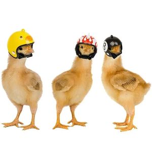 Capacete de galinha engraçado Capacete de pássaro pequeno pato codorna de hard chapéu de cabeça impede que o frango srasse proteger para hens head animal de estimação suprimentos