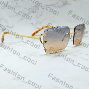 Fashion Sunglasses Frames Diamond Cut Men and Women Stylish Wire C Luxury Designer Carter Sun Glasses Driving Shades Outdoor Protect Gafas De Sol 795