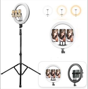 Beleza inteira de 12 polegadas de 12 polegadas Tiktok tik tok pagography selfie LED Ring Light com 2m Tripod Stand para transmissão ao vivo maquiagem do youtube vid9224898