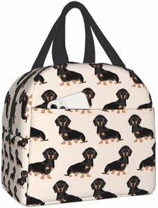 Dachshund Dogs Изолированная сумка для ланча женщина Cooler Tote Box Leakproper Musterable Sougs для офисной работы школы для пикника Pertable K9LG#