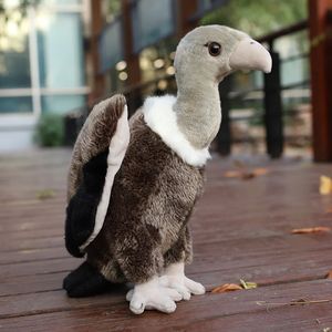 253545CM Simulated Bird Plush Toys Lifelike Vulture Eagle Stuffed Wild Animal Doll Cute Home Ornament Gift 240315