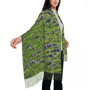 Шарфы лавандовые мечты шарф мужчина, женщины, цветущие цветочные печати с длинной кисточкой зимней винтажной шаль, теплые мягкие буфанда