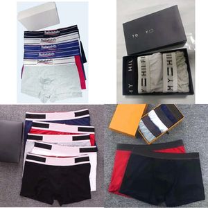 Mens 3pcs/lot Underpants Boxer Organic Cotton Shorts Modal Sexy Gay Male Boxers Breathable New Mesh Man Underwear Size M-XXL s