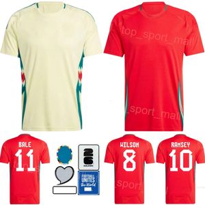 2024 Copa da Copa da Euro Men Wales Soccer Jerseys 9 Johnson 20 James 11 Bale 10 Ramsey 4 Davies Ampadu Wilson Williams Hennessey Gunter Morrell Kits