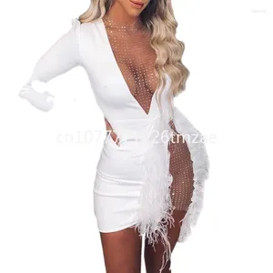 Stage Wear Puff Sleeve European And American Slimming Women's Selling Mesh Stitching Feather Decoration Slim Fit Dress