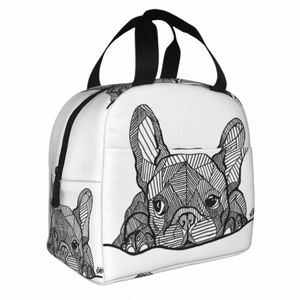 Borsa da pranzo bulldog francese impermeabile isolata termica calda fredda fresca francese pranzo per cani tote per bambini bambini cibo bento box 58dm#