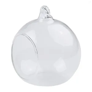 Vase Brand Garden Home Glass Ball Hanged Hange Plat Pot
