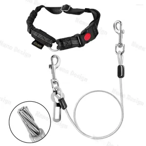 Collari per cani Chzuober Chew Cintura di sedile per auto a prova di prova 2 in 1 Accessori per cavi in acciaio Restroing poggialetto per medio grande grande