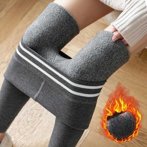 Seksi çorap tayt kadınlar kış külotlu çorap çorapları peluş kalınlaşmış sıkı oturan yüksek bel pantolon kekmir sıcaklık entegre 240416