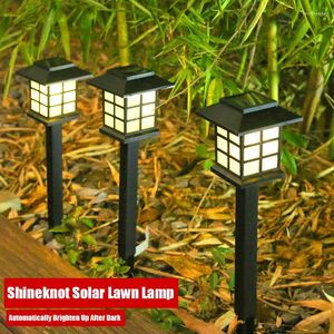 ShineKnot Outdoor Rain-Rayproper Solar светодиодный лампа Mini Lames Mini Lights Courtyard Garden Plug-In Night Decorative ZM0006