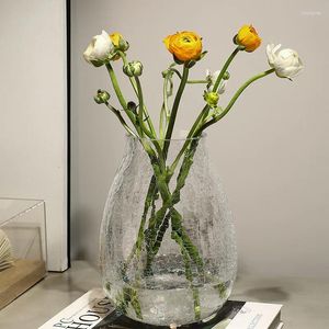 Vaser Ice Cracked Glass Flower Vase Modern Home Minimalist Light Luxury Dining Table Arrangement