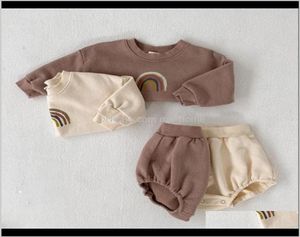 Sets Baby Boys And Girls Clothing Kids Casual Long Sleeve Rainbow Pullover Sweatshirt Tops Shorts Children Clothes Set 201023 80Eg9386502