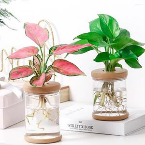 Vaser Hydroponic Flower Pot Mini Transparent Imitation Glass Soiless Plant Pots Green Vase Desktop Bonsai Home Decor