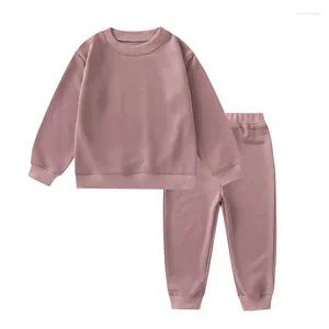 Set di abbigliamento primaverili 2-6 anni abiti per bambini in cotone a maniche lunghe pantaloni t-shirt a colori per bambini set di vestiti per bambini