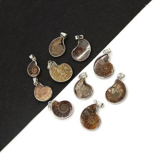 Pendanthalsband Natural Stone Shell Ammonite Snail 10-35mm Charm Vintage Making Diy Necklace Earrings Fashion Smycken Butik Tillbehör