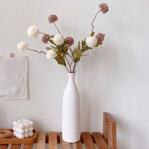 Vasen Nordic INS -Stil Keramik und trockene Blumenbekleidungsgeschäfte Einfache Dekorationen Ruhige Kunst Wohnzimmer Weiche Dekoration