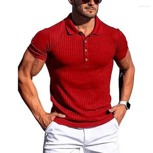 Men's Polos 2024 Summer Fitness T-shirt High Elastic Vertical Stripe Short Sleeved POLO Shirt Slim Fit Knitted Bottom