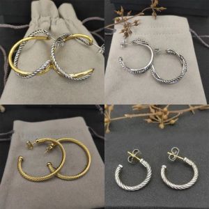 Huggie Dy Vintage Hoop örhängen Twisted Head Designer Earings Big High End Fashion Plated Gold Earrings for Women Stud Cable Wire Free Sh