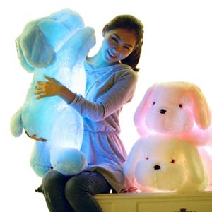 30 cm farbenfrohe LED leuchtende helle Hunde leuchtend gefülltes Kissen weiche Tierplüschspielzeug für Babykinder