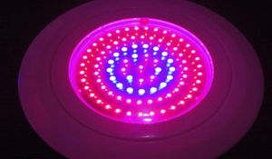 90WAT 90W UFO LED roślina wylecz jasnoczerwony i niebieski i pomarańczowy 7119575793