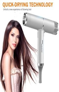 Hair Dryers Professional Infrared Negative Ionic Blow Cold Wind Salon Styler Tool er Electric Drier 2209267334725