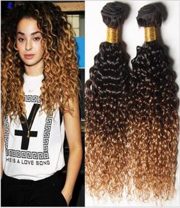 1B4 27 TRÊS TOMO ombre ombre brasileiro Virgem Human Human Teave Pacotes 3pcs Jerry Curly Honey Blonde ombre Extensões de cabelo humano DOUB2153785