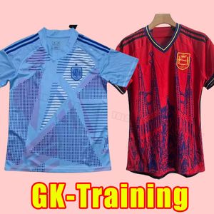 2024 Spain soccer jerseys Espana ANSU FATI ASENSIO MORATA FERRAN KOKE GAVI AZPILICUETA C.SOLER RAMOS football shirts men training set 2025 Goalkeeper