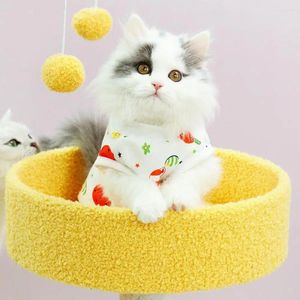 Kostium kotów Elastyczne kostiumy kreskówki Suiber dla samic kotów Małe psy