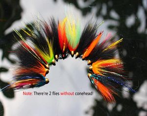 Tigofly 12 pcslot Assorted Tube Fly Set For Salmon Trout Steelhead Fly Fishing Flies Lures Set5723205