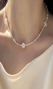 Chokers Trendy Simple Natural Freshwater Pearl Necklace Lovely Daisy Pärlor utsmyckade med unik charm för kvinnor Gargantillas CO9316507