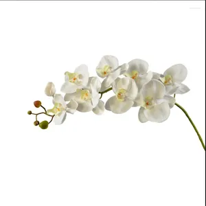 Fiori decorativi multicolore Orchide farfalla 1 bundle fiore falso casa terapia decorazione del matrimonio decorazione falaenopsis artificiale fai -da -te