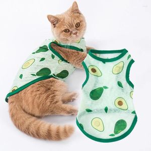 Kattdräkter 1 st bedårande UV -skydd Vest Lightweight Breattable Cute Avocado Mönster hund Fashion Cooling Summer Thin Pet Clothes