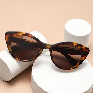 Óculos de sol Elo de olho de gato de óculos de sol masculino Moda UV400 Proteção ao ar livre em estilo coreano Viajar óculos de sol feminino
