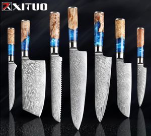 Xituo Kitchen Kinvesset Damascus Steel Vg10 Chef Newaver Cleaver Caring Hread Нож СИНЕ Смола и цветная ручка для приготовления пищи 8148257