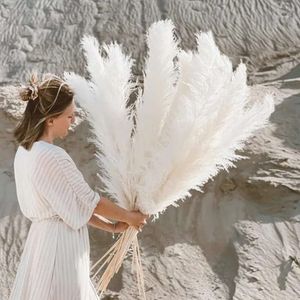 Large Pampas 110120Cm Grass Fluffy Tall Natural Dried Flower For Home Wedding Decor Decoration Bouquet Gift Arrangement 240308 ation