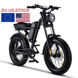 EBIKE E-BIKE FATBIKE 250W EU Warehouse Stock Magazijn Fat Tire Electric Hybrid Dirt Mountain City E Bike Rower