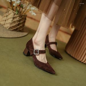 Kleiderschuhe Herbst/Frühling Frauen Pumpen Schafs Wildleder Leder für spitze Zehenschiffern Retro Beltschnalle Mary Janes