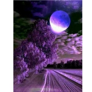 Flower-28.99 Cartoon Digital Oil Painting Moon Night Scene Filling Suitable For Adults