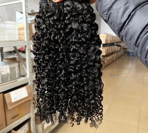 Double Drawn Burmese 3B3C Curly Hair Bundle Weft Human Hair Unprocessed Raw 3B3C indian Hair Bundles Extension 1bundle/100g