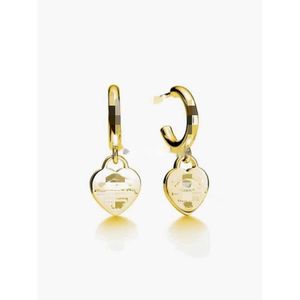 Modedesigner Ohrringe für Frau Orecchini plattiert Silber Gold Hoop Ohrringe Circle Studs Party Hochzeit Schmuck Hochqualität Retro ZL137 F4