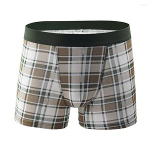 Underpants sexy Unterwäsche Männer Boxer Shorts weiche Baumwollplaid gedruckte Herrenhöschen 2024 Brand Sport Dessous #zer