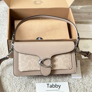 Designer Womens Coache Tabby Coache Bag Litchi Leayher Brand Handbag Gold Metal Buckle Mirror High Quality Square Crossbody Shoulder Bags 607 995