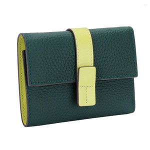 Brieftaschen Frauen Geldbeutel rechteckige Trifold Feste Farbe Reißverschluss Hasppo -Ordner Brieftasche