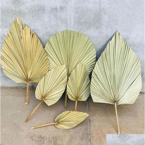 Decorative Flowers Wreaths 1Pc Dried Flower Natural Pu Fan Leaf For Diy Home Shop Display Decoration Materials Preserved Leaves Pa Dhoaj