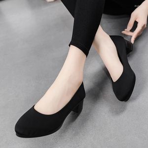 Dress Shoes Women's Ladies Pumps Black Office Work Fashion Women Waterproof Casual Mid-heels Moccasins Chaussures Femme