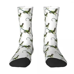 Men's Socks Eastern Collared Lizard Repeating Animal Sock Men Women Polyester Stockings Customizable Hip Hop