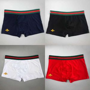 Mens Designer Underpants Boxer Shorts Modal Sexy Ceuca Boxers High Quality Breathable New Mesh Man Underwear M-XXL G991013 s