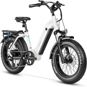 Högkvalitativ vuxen 250W 750W 52V Urban Electric Bicycle